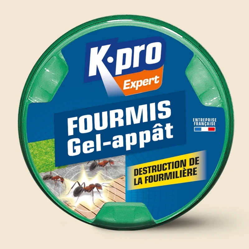 Boite fourmis