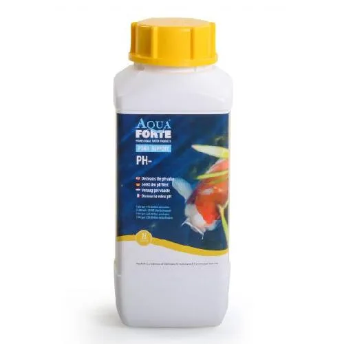 AquaForte PH- 1L / ± 1.500gr