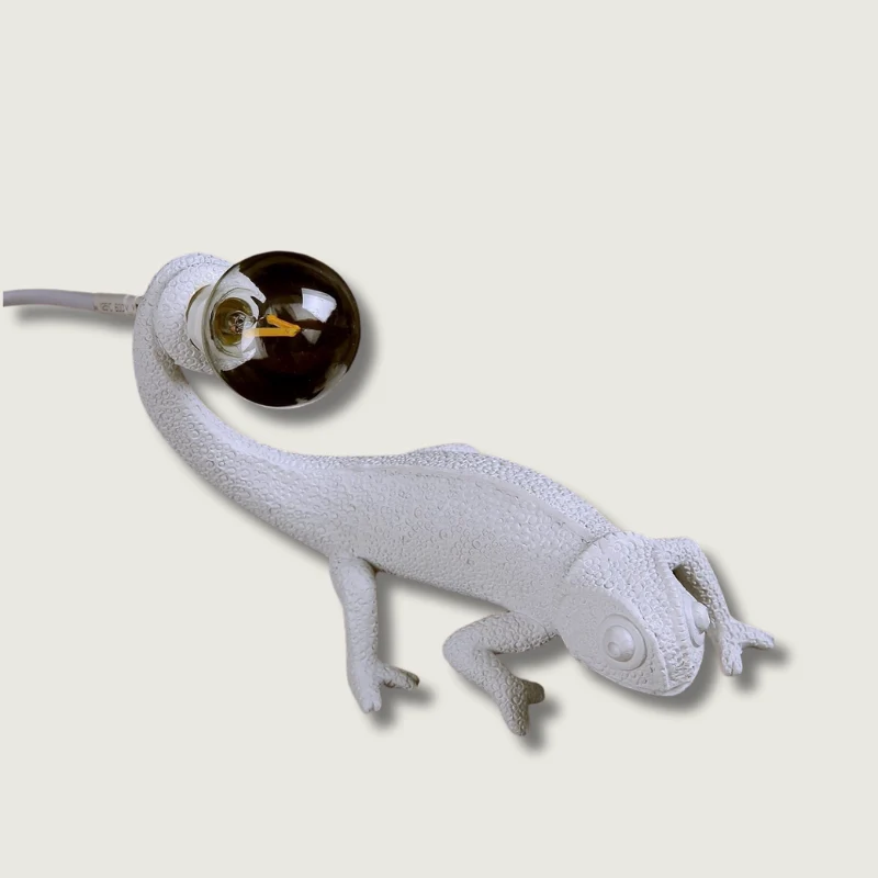 Lampe de Table en Résine Exotique avec Éclairage Chaud