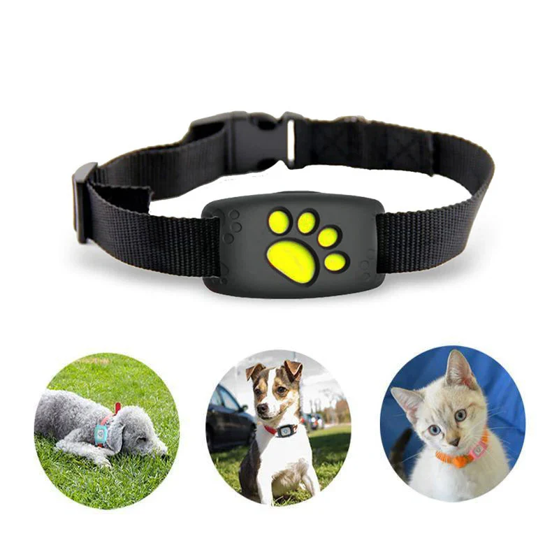 Collier GPS pour Chiens et Chats avec Localisation