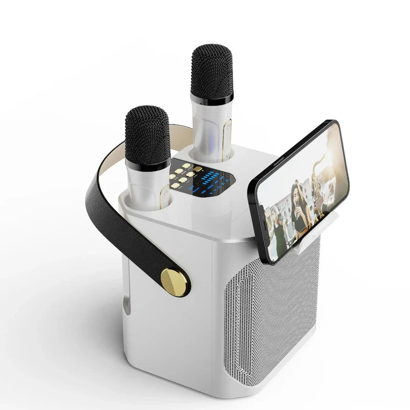Enceinte Bluetooth Nomade Karaoké Sans Fil