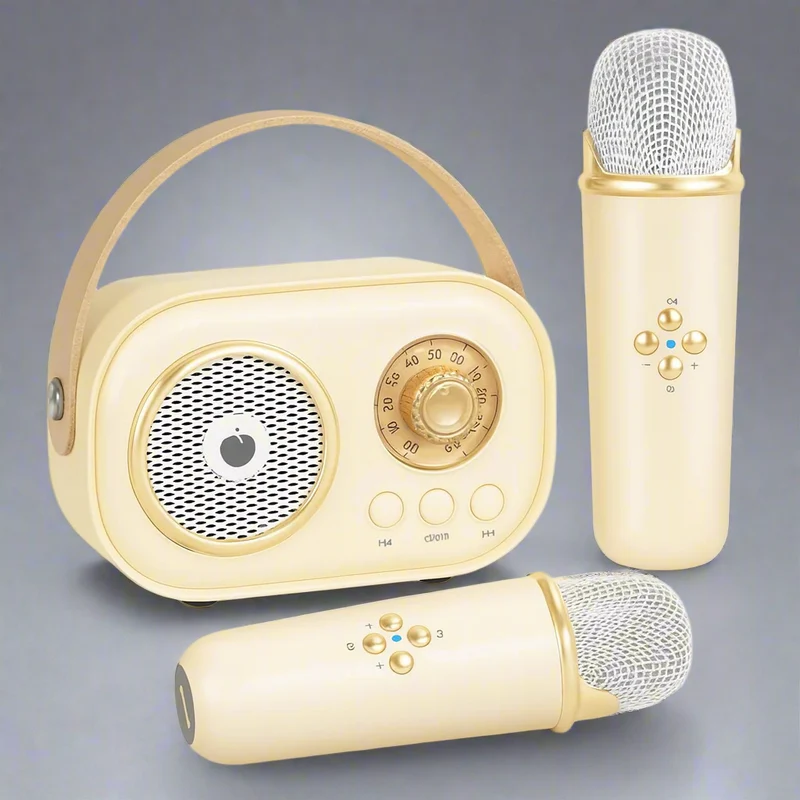 Ensemble de Haut-Parleur Bluetooth Karaoke Vintage