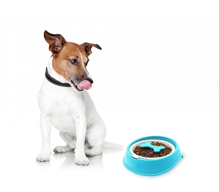 060360 Gamelle original pour chiens chats anti-asphyxie, meilleur digestion 15cm