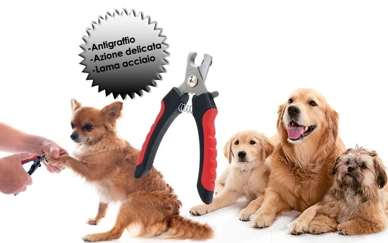 Ciseaux à griffes en acier inoxydable pour chiens, chats et chiots