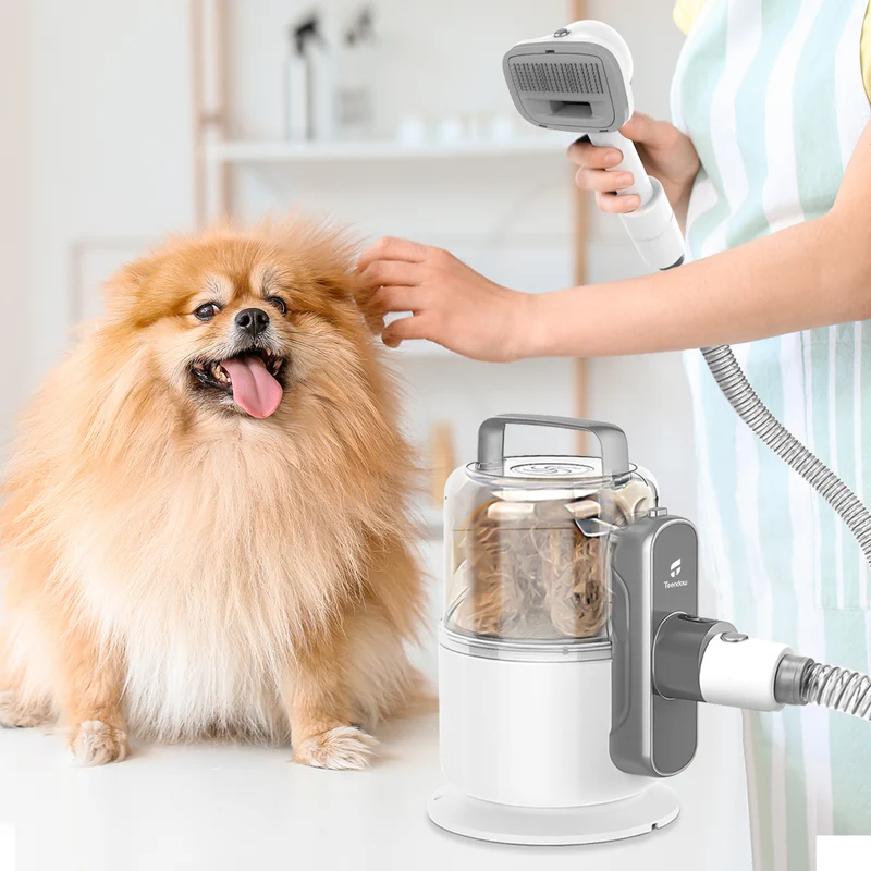 Teendow V10 Pet Grooming Vacuum Kit